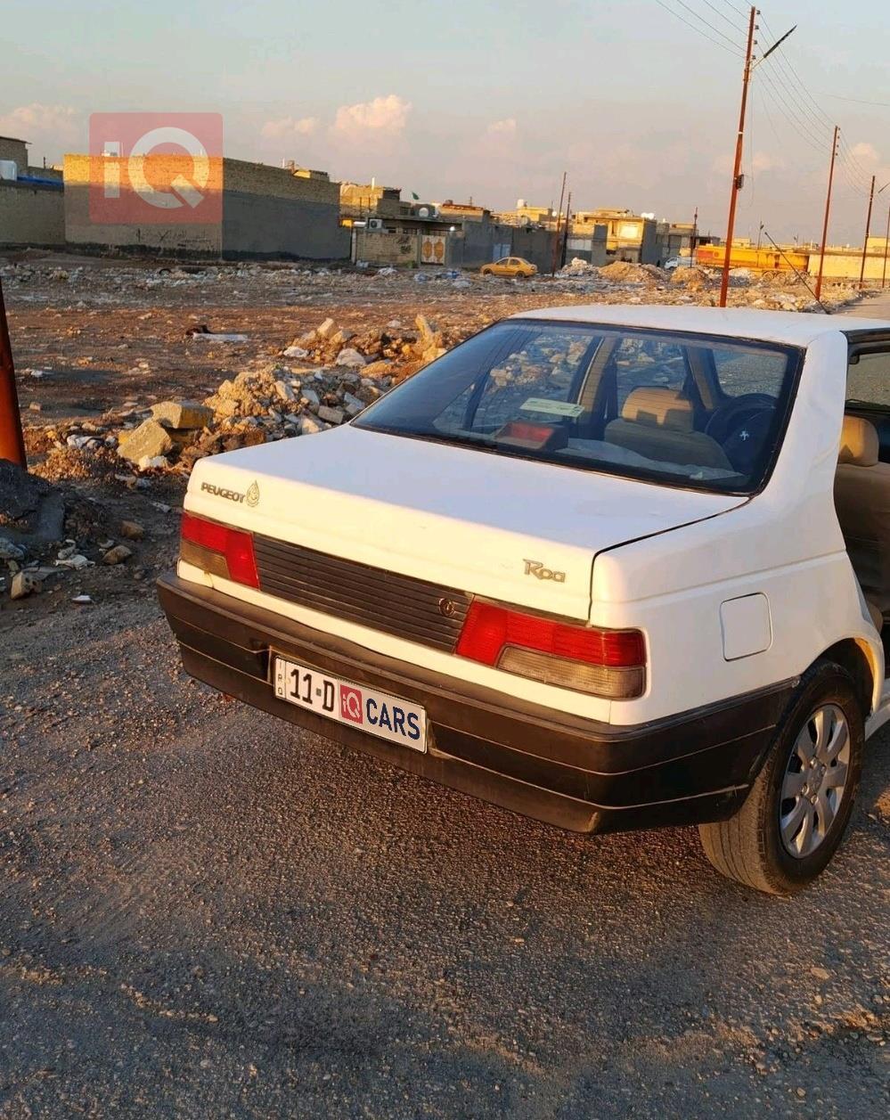 بيجو روا